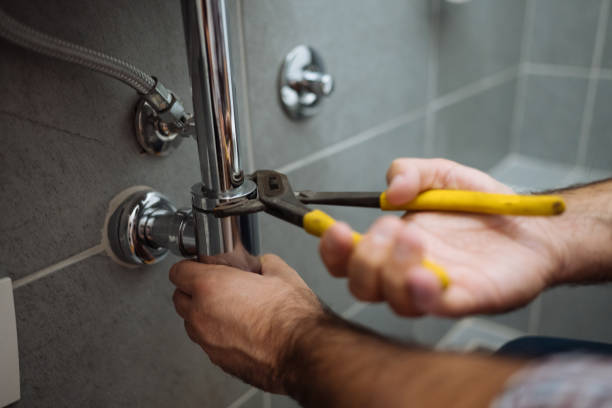 Best Commercial Plumbing Services  in West Branch, IA